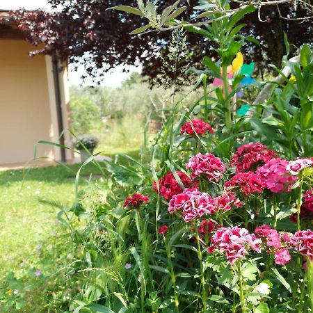Bnb A La Maison Reggello Εξωτερικό φωτογραφία