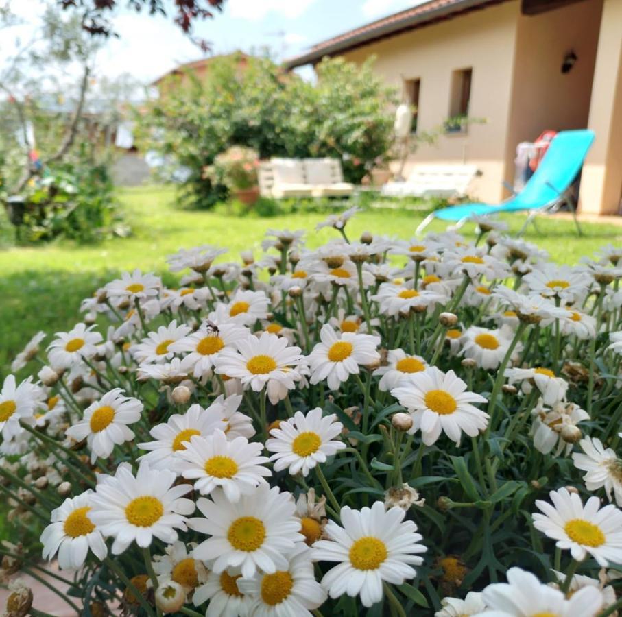 Bnb A La Maison Reggello Εξωτερικό φωτογραφία