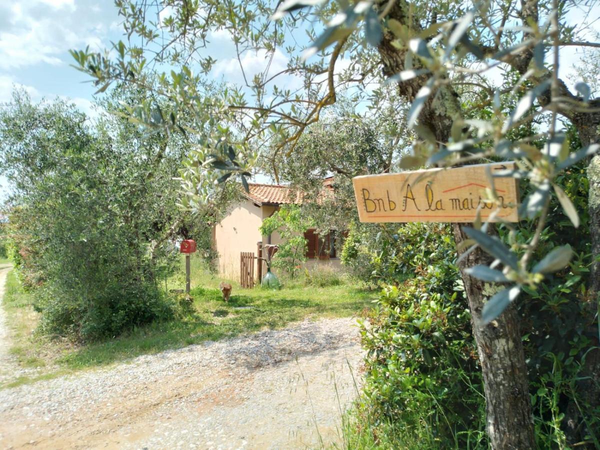 Bnb A La Maison Reggello Εξωτερικό φωτογραφία