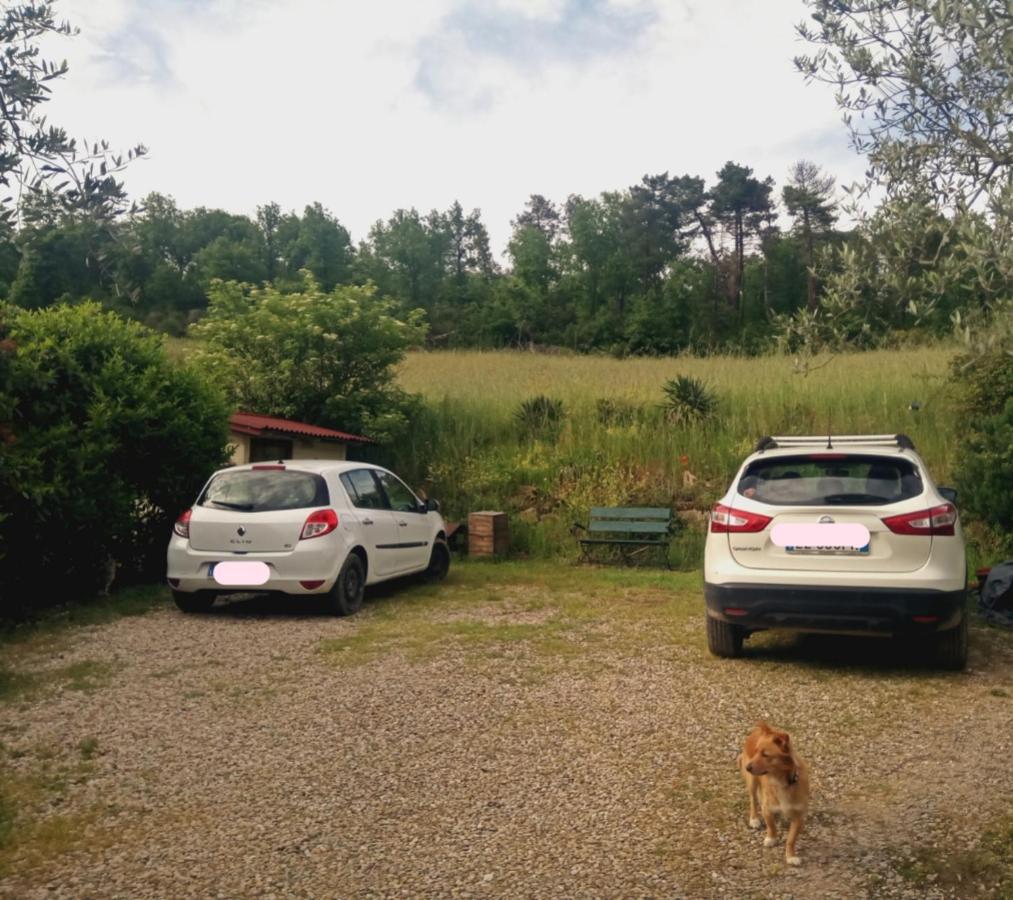 Bnb A La Maison Reggello Εξωτερικό φωτογραφία